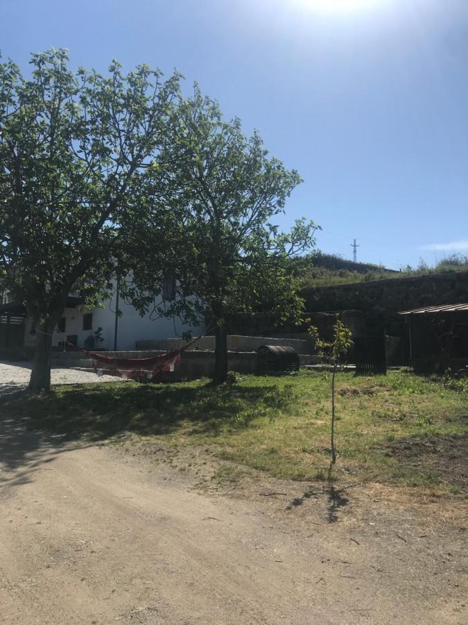 Casa Nova Villa Guimarães Buitenkant foto
