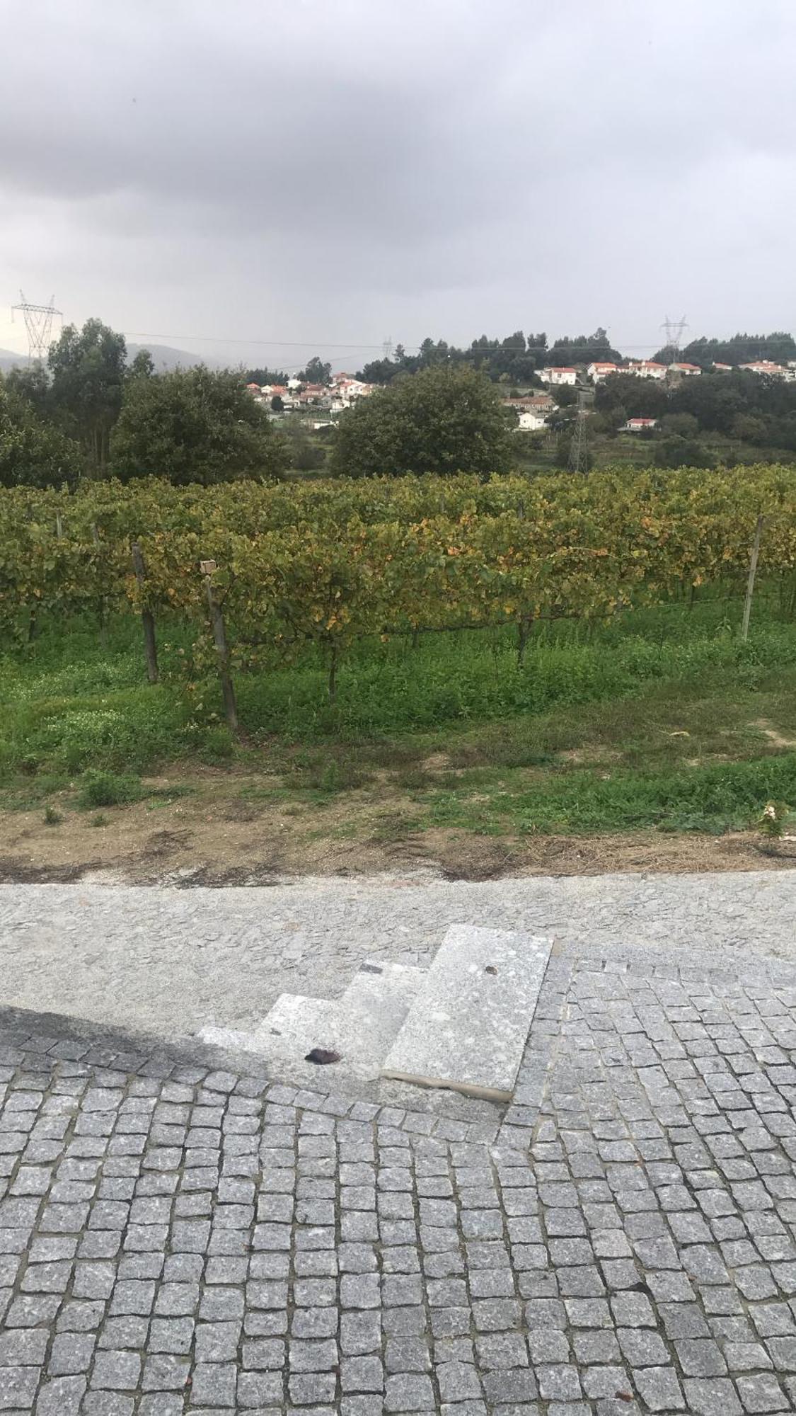 Casa Nova Villa Guimarães Buitenkant foto